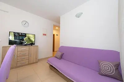 TV i/ili zabavni centar u objektu Apartmani Vice