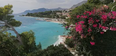 Priroda u blizini apartmana