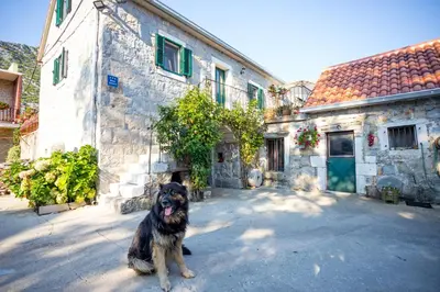 Tlocrt objekta Apartmani Rebac