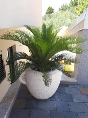 Tlocrt objekta Apartments Kuzmanic