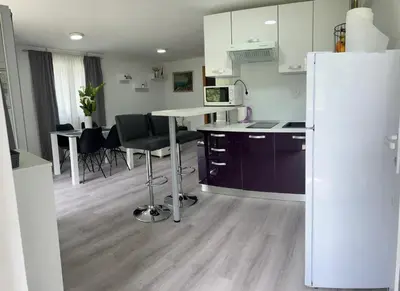 Kuhinja ili čajna kuhinja u objektu Villa Bubalo