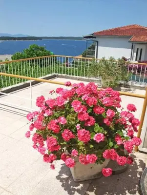 Priroda u blizini privatnih smještaja