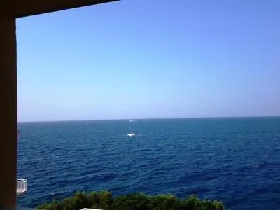Priroda u blizini apartmana