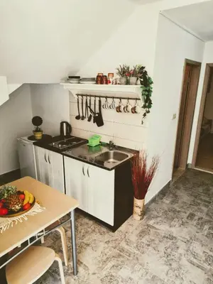 Kuhinja ili čajna kuhinja u objektu Apartments Kegalj