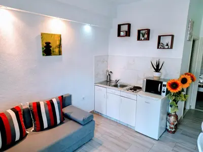 Kuhinja ili čajna kuhinja u objektu Apartments Kegalj
