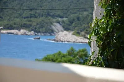 Priroda u blizini apartmana