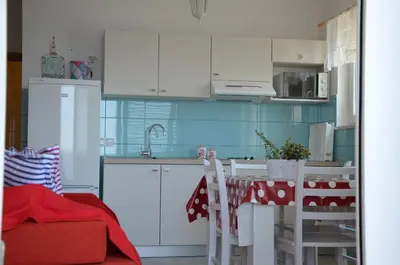 Kuhinja ili čajna kuhinja u objektu Villa ForTudor
