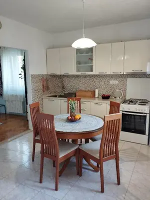 Kuhinja ili čajna kuhinja u objektu Apartments Kat