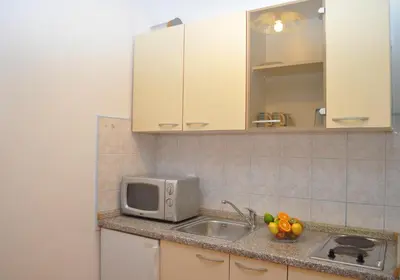 Kuhinja ili čajna kuhinja u objektu Apartments Ivica