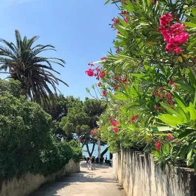 Apartman SARA GALILEO BLIZU PLAZE
