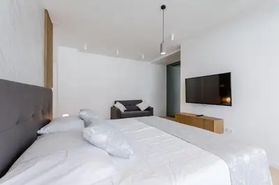 TV i/ili zabavni centar u objektu Luxury Villa