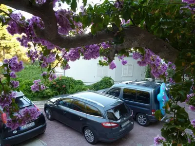Vrt u objektu Apartment in Duce with sea view, balcony, air conditioning, Wi-Fi (132-3)