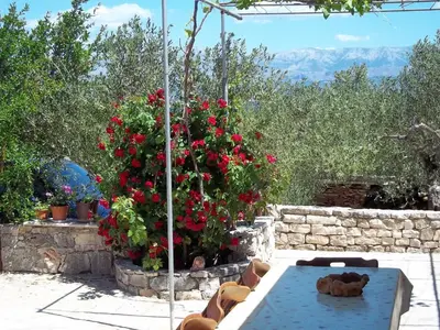 Vrt u objektu Holiday Home Ruža
