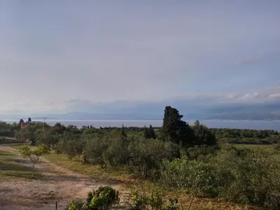 Priroda u blizini vikendica