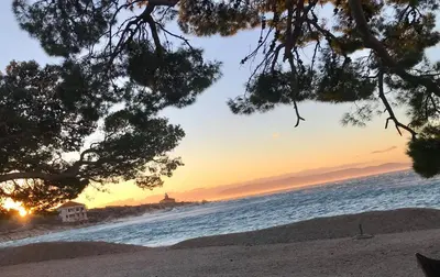 Priroda u blizini apartmana