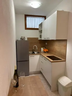 Kuhinja ili čajna kuhinja u objektu Apartmani Jurica i Ankica