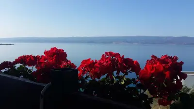 Priroda u blizini apartmana