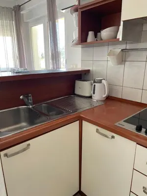 Kuhinja ili čajna kuhinja u objektu Apartments Vip