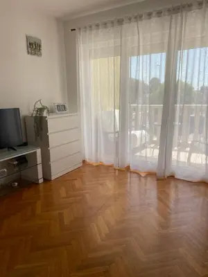 TV i/ili zabavni centar u objektu Apartments Vip