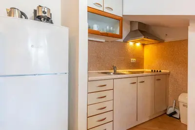 Kuhinja ili čajna kuhinja u objektu Janus apartments
