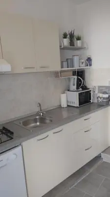 Kuhinja ili čajna kuhinja u objektu Apartments Teo 1