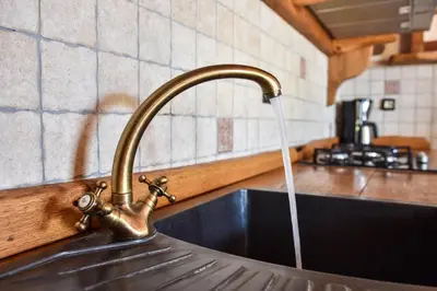 Kuhinja ili čajna kuhinja u objektu Villa Golubinka