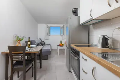 Kuhinja ili čajna kuhinja u objektu Apartments Petrović