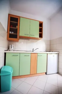 Kuhinja ili čajna kuhinja u objektu Apartmani Pezo
