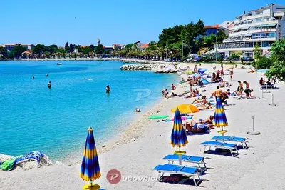 Priroda u blizini apartmana