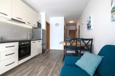 Kuhinja ili čajna kuhinja u objektu Sirius Apartments - Free Private Parking