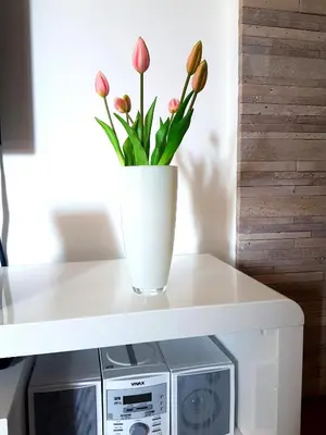 Kuhinja ili čajna kuhinja u objektu Apartment Rio