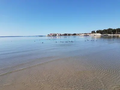 Priroda u blizini apartmana