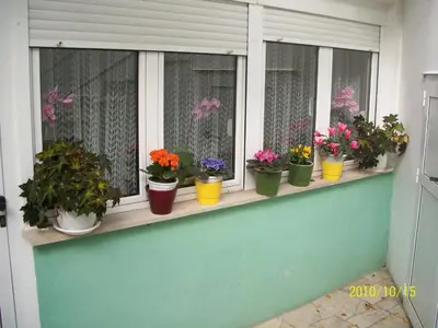 Tlocrt objekta Apartmani Šurlin