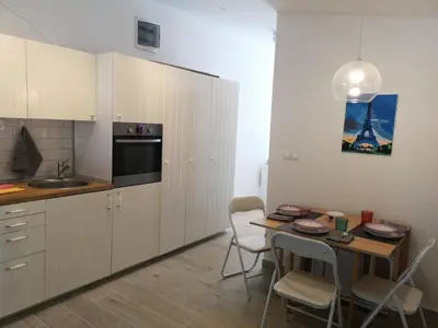 Kuhinja ili čajna kuhinja u objektu Apartman Studio Kod Ujevića