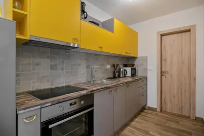 Kuhinja ili čajna kuhinja u objektu Apartment Cesarica