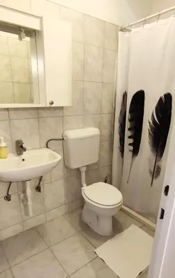 Kupaonica u objektu Guest House Vuljan