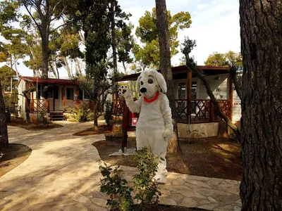Ljubimac ili ljubimci u objektu Camping Stobreč Split Mobile Homes