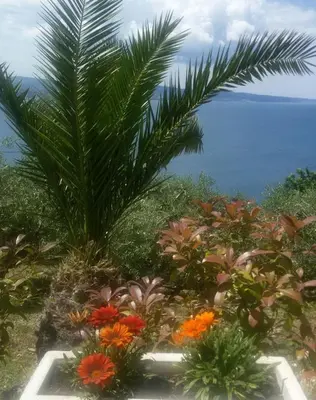 Priroda u blizini apartmana
