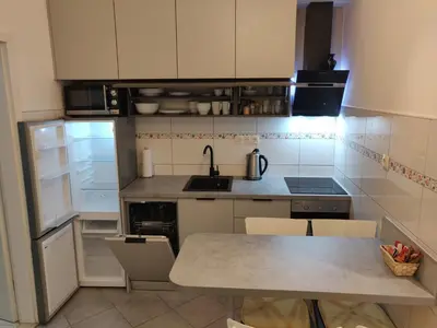 Kuhinja ili čajna kuhinja u objektu Apartman Renata