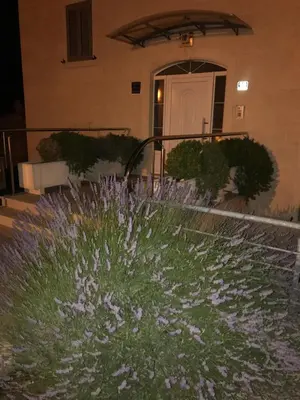 Zgrada u kojoj se nalazi apartman
