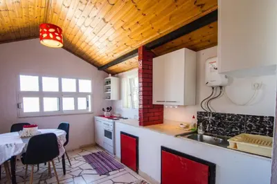Kuhinja ili čajna kuhinja u objektu Apartment Ivo