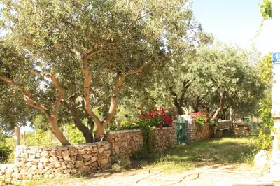 Vrt u objektu Holiday home Ivan Bol