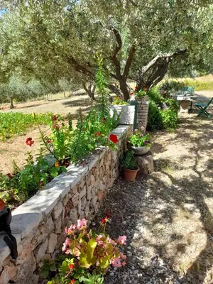 Vrt u objektu Holiday home Ivan Bol
