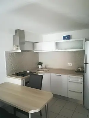 Kuhinja ili čajna kuhinja u objektu Baška Voda - Apartmani Vesna