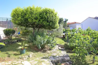 Vrt u objektu Apartments with parking space Splitska, Brac - 17023