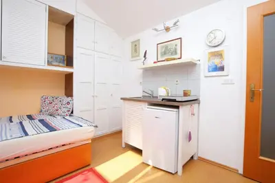 Kuhinja ili čajna kuhinja u objektu Apartments with parking space Splitska, Brac - 17023
