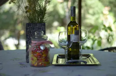 Pića u objektu House Mare