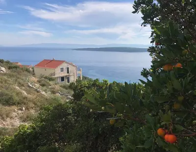 Priroda u blizini apartmana