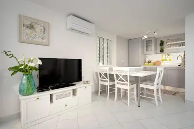 TV i/ili zabavni centar u objektu Holiday Home Belina