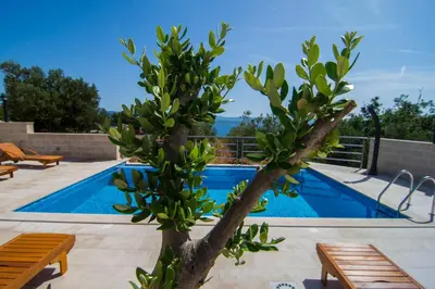 Bazen u objektu Villa Nikola - pool side apartments ili u blizini